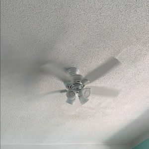 Meet your Posher, Kenneth